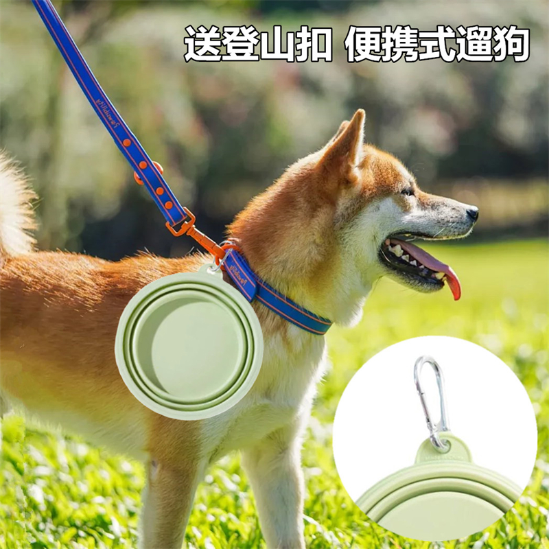 Sunflower Foldable Silicone Pet Bowl, Portable Travel Feeding Water Bowl for Dogs & Cats thumb 7