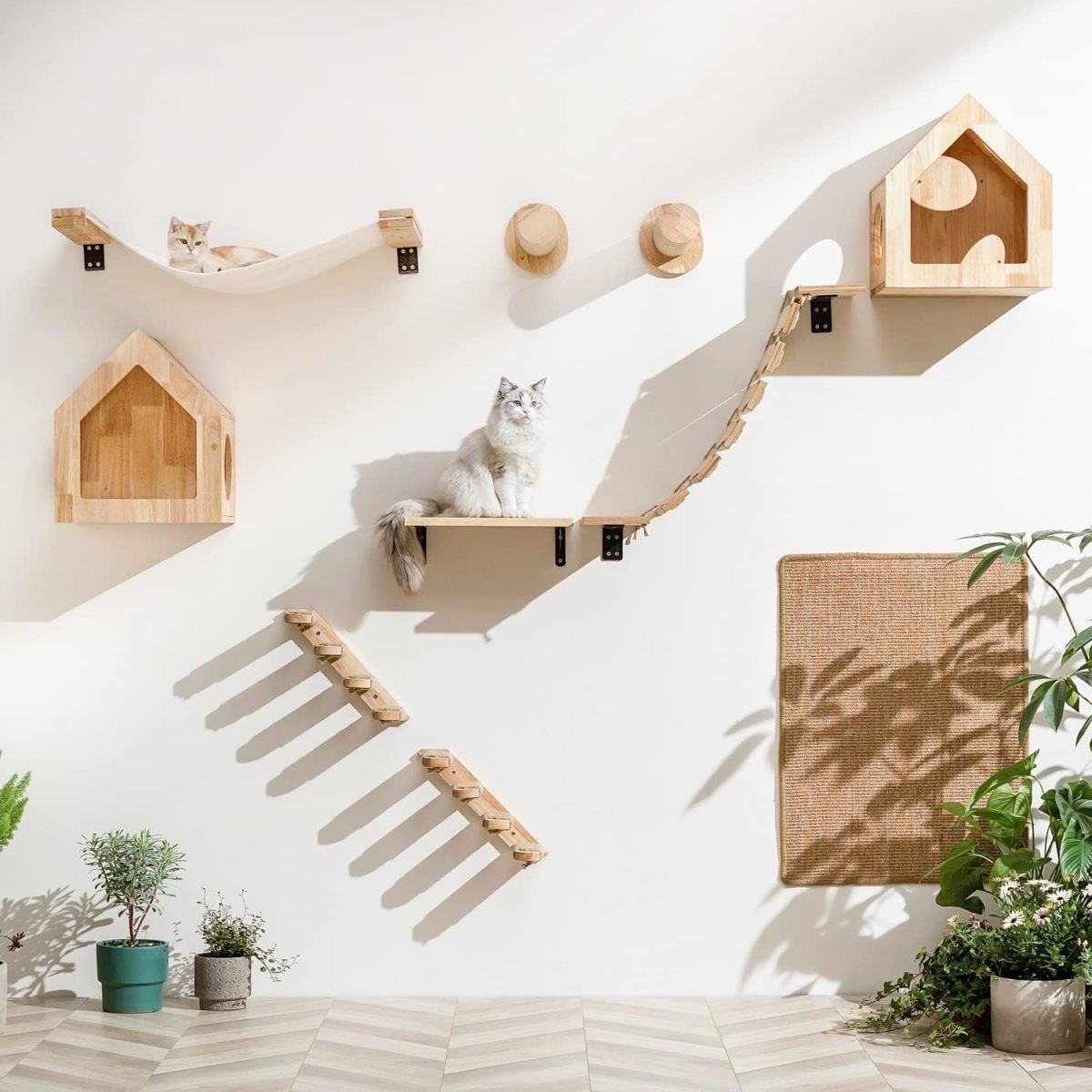 Sunflower Wooden Wall Cat Steps & Maze Ball Cat Toy Set thumb 13