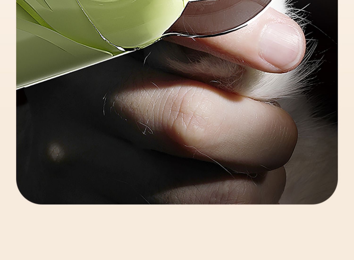 Sunflower LED Pet Nail Clipper, Anti-splash Bloodline Visible Nail Trimmer For Cats & Dogs thumb 12