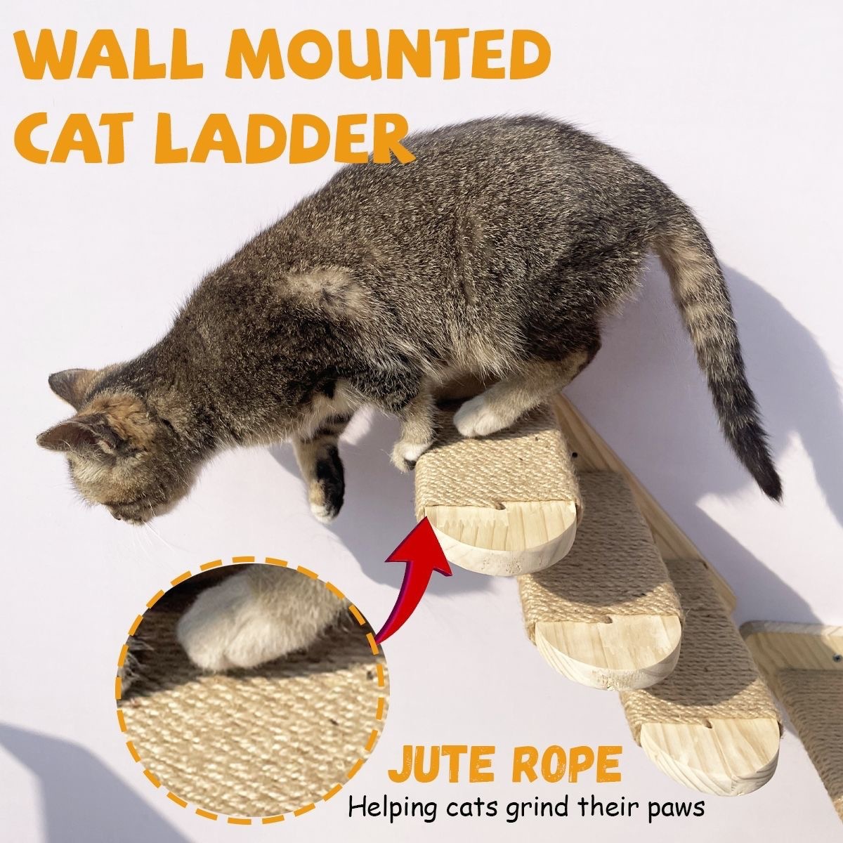 Sunflower Wooden Wall Cat Steps & Maze Ball Cat Toy Set thumb 15