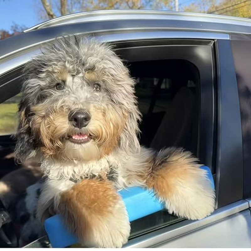 Sunflower Car Window Dog Chin Rest Pad Pet Travel Head Support Pillow thumb 4